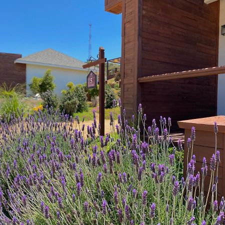 Entrevalle Hotel Boutique فالي دي جوادالوبي المظهر الخارجي الصورة