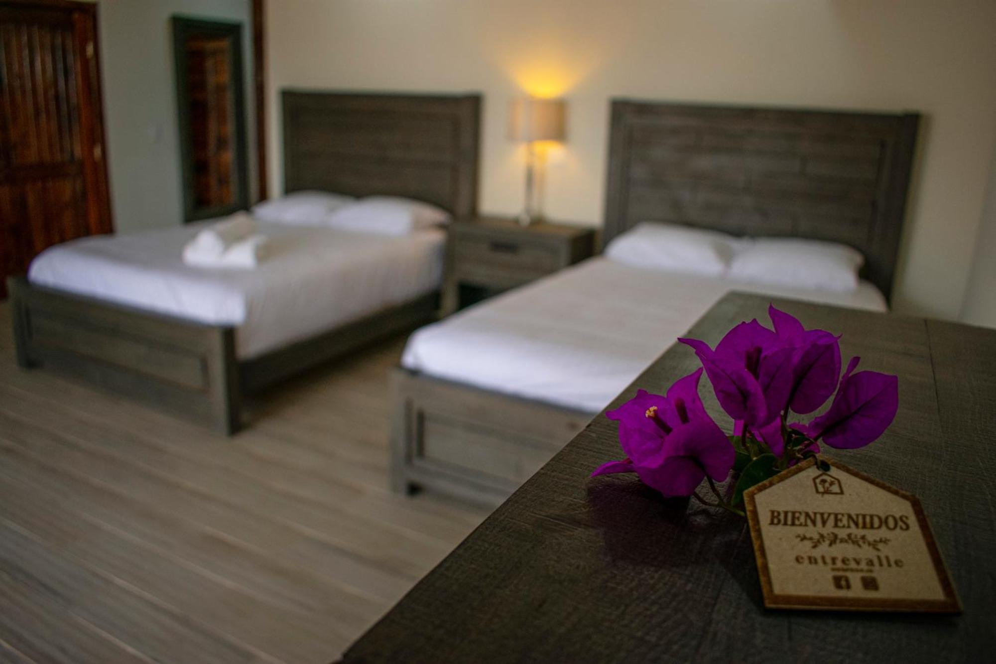 Entrevalle Hotel Boutique فالي دي جوادالوبي الغرفة الصورة